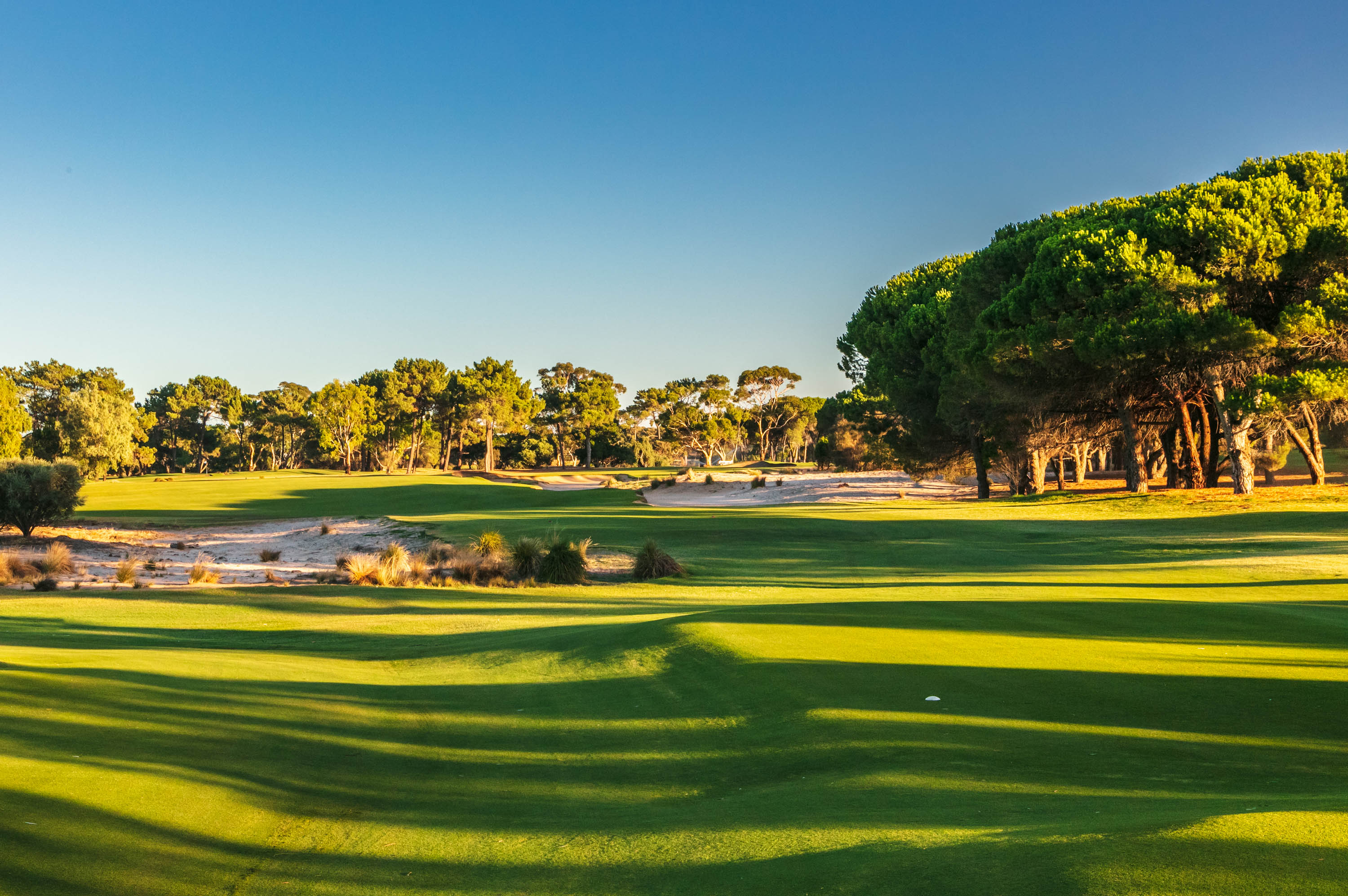 The Grange Golf Club Golf Course Profile | TeetimeWizard